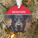 Search for dog breed christmas tree decorations Dogs