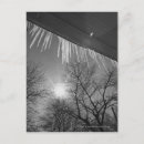Search for icicle postcards Tree