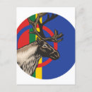 Search for sami Reindeer