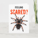 Search for tarantula cards Insect