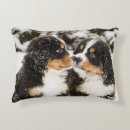 Search for bernese mountain dog cushions Animal
