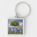 Search for oak key rings Scenic