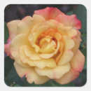 Search for beautiful yellow rose stickers Garden