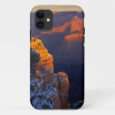 Search for arizona iphone cases National park