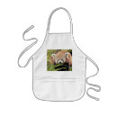 Search for red panda aprons Nature