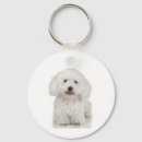 Search for maltese key rings Cute