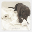 Search for flooring stickers White