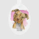 Search for pitbull pet supplies Animal