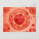 Search for nucleus postcards Transparent
