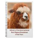 Search for alpaca notebooks Cute