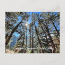 Search for eldorado postcards Canyon