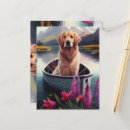 Search for golden retriever postcards Summer
