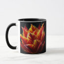 Search for red tulips mugs Nature