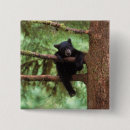 Search for omnivores badges Fauna