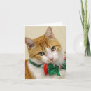 Search for tabby cat christmas cards Kitten