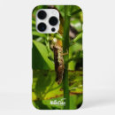 Search for grasshopper iphone cases Nature