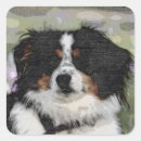 Search for herding dog stickers Portrait