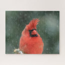 Search for snow storm puzzles Winter