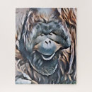 Search for orangutan puzzles Primates