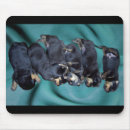Search for rottweil mousepads Puppy