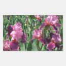 Search for irises stickers Flowers
