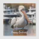 Search for california cards Birds
