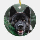 Search for akita christmas tree decorations Pets