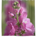 Search for mauve shower curtains Floral