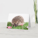Search for bite cards invites Animal