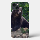 Search for big bear electronics Brown