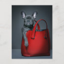 Search for handbag postcards Cute