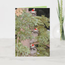 Search for no peeking christmas cards Animal