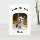 Search for calico kitten cards Kitty
