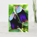 Search for multi region cards Plants