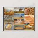 Search for breads postcards Dough