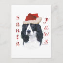 Search for springer spaniel christmas cards Dogs