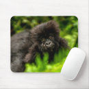 Search for nature reserve mousepads Forest