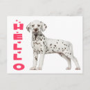 Search for dalmation puppy postcards Cute
