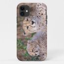 Search for reserve iphone cases Environment