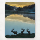 Search for bull elk mousepads Colorado