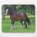 Search for belles mousepads Horse