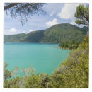 Search for new zealand tiles Island