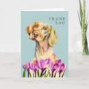 Search for watercolor art cards Garden