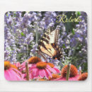 Search for coneflower electronics Nature