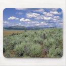 Search for lupin mousepads Field