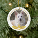 Search for dog with angel wings For pets