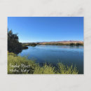 Search for the snake postcards Nature