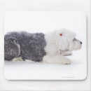 Search for original mousepads Animal