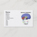 Search for anatomically business cards Anatomy