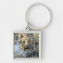 Search for african animal key rings Wild